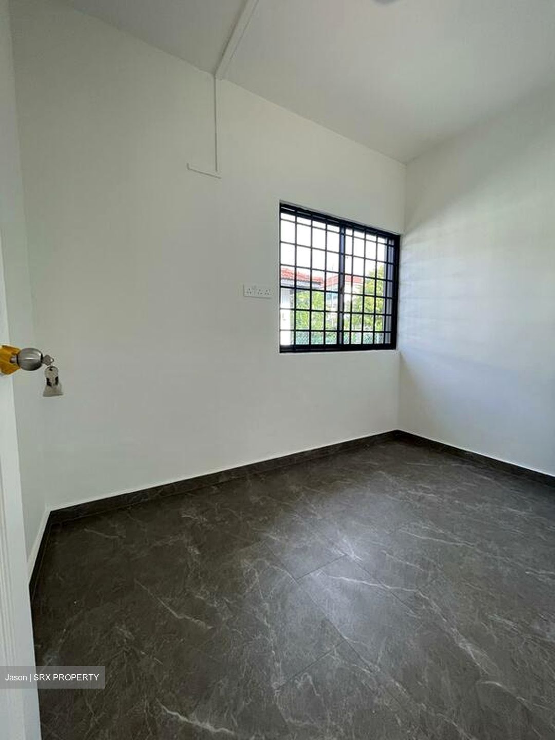 Toh Estate (D17), Detached #495888591